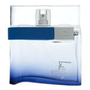 Salvatore Ferragamo F by Ferragamo Free Time Eau de Toilette férfiaknak 100 ml kép