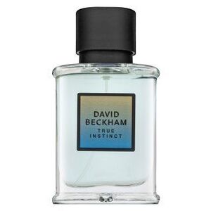 David Beckham True Instinct Eau de Parfum férfiaknak 50 ml kép