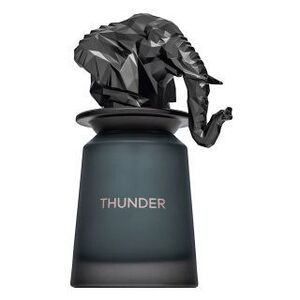 French Avenue Thunder Eau de Parfum férfiaknak 100 ml kép