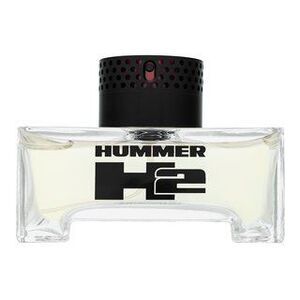 HUMMER Hummer 2 Eau de Toilette férfiaknak 125 ml kép