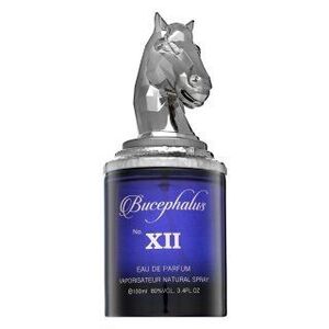 Armaf Bucephalus No. XII Eau de Parfum férfiaknak 100 ml kép