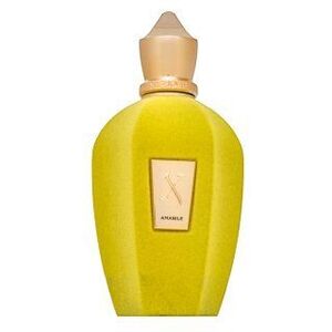 Xerjoff Amabile Eau de Parfum uniszex 100 ml kép