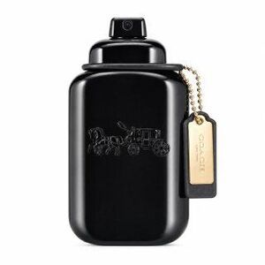 Coach Coach for Men Eau de Parfum férfiaknak 60 ml kép
