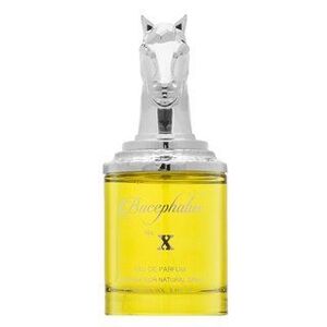 Armaf Bucephalus No. X Eau de Parfum férfiaknak 100 ml kép