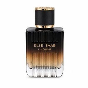 Elie Saab L´Homme Intense Eau de Parfum férfiaknak 100 ml kép