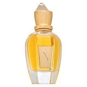 Xerjoff Cruz del Sur I Eau de Parfum uniszex 50 ml kép