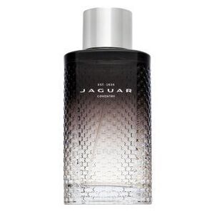 Jaguar Era Eau de Toilette férfiaknak 100 ml kép