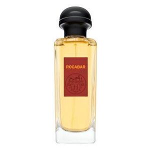 Hermès Rocabar Eau de Toilette férfiaknak 100 ml kép