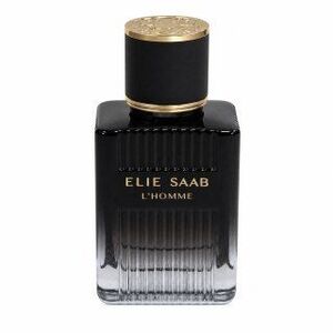Elie Saab L’Homme Eau de Parfum férfiaknak 50 ml kép