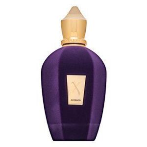 Xerjoff Accento Eau de Parfum uniszex 100 ml kép