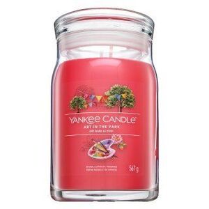 Yankee Candle Art In The Park 567 g kép