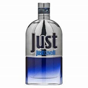 Roberto Cavalli Just Cavalli Him 2013 Eau de Toilette férfiaknak 90 ml kép