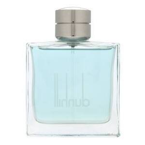 Dunhill Fresh Eau de Toilette férfiaknak 100 ml kép