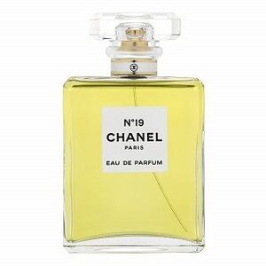 Chanel No.19 Eau de Parfum nőknek 100 ml kép