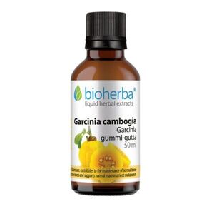 Bioherba Garcinia Cambogia tinktúra cseppek krómmal – 50 ml kép