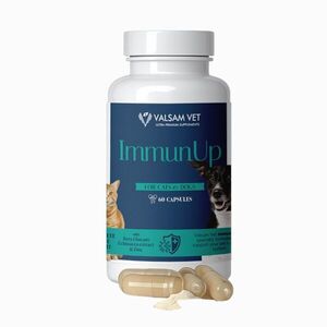 IMMUNUP - immunerősítő készítmény kutyák és macskák számára 60 kapszula - Valsam Vet kép