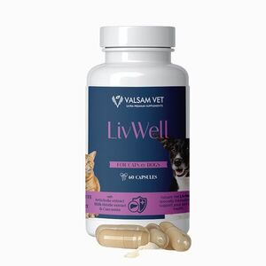 LIVWELL - máj- és anyagcsere-támogatás kutyák és macskák számára 60 kapszula - Valsam Vet kép