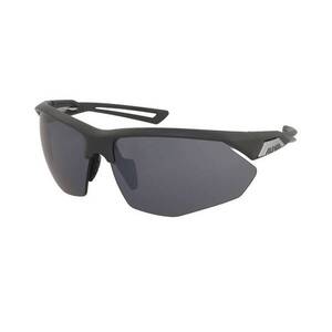 Alpina Alpina Nylos HR Midnight-Grey Matt/Silver Mirror kép