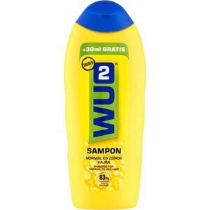 Sampon Normál zsíros hajra 280 ml kép