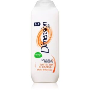 Dimension by Lux 2in1 sampon és kondicionáló 2 in1 minden hajtípusra 250 ml kép
