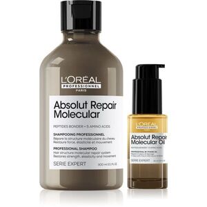 L’Oréal Professionnel Serie Expert Absolut Repair Molecular szett a károsult hajra kép
