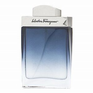 Salvatore Ferragamo Subtil Pour Homme Eau de Toilette férfiaknak 50 ml kép