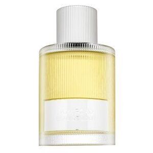 Tom Ford Signature Beau de Jour Eau de Parfum férfiaknak 100 ml kép