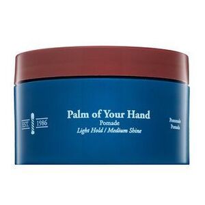 CHI Man Palm of Your Hand Pomade pomádé 85 g kép