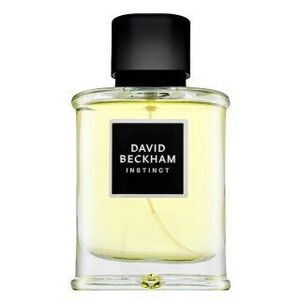 David Beckham Instinct Eau de Parfum férfiaknak 75 ml kép