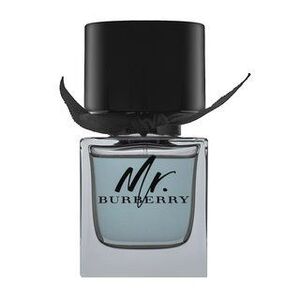 Burberry Mr. Burberry Eau de Toilette férfiaknak 50 ml kép