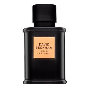 David Beckham Bold Instinct Eau de Parfum férfiaknak 50 ml kép