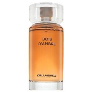 Lagerfeld Bois d'Ambre Eau de Toilette férfiaknak 100 ml kép