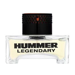 HUMMER Legendary Eau de Toilette férfiaknak 40 ml kép