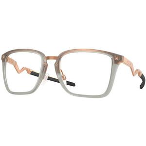OX8162-06 Cognitive kép