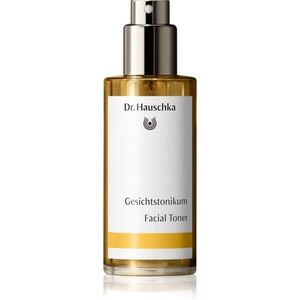 Dr. Hauschka Cleansing And Tonization arc tonik spray normál és száraz bőrre 100 ml kép
