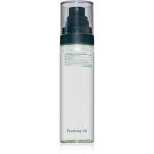 Pyunkang Yul Calming Moisture Mist intenzíven nyugtató permet az érzékeny száraz bőrre 100 ml kép