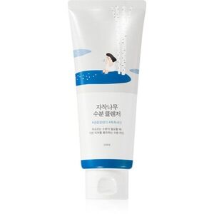 ROUND LAB Birch Juice Moisturizing Cleanser finom habzó tisztító gél regeneráló hatással 150 ml kép