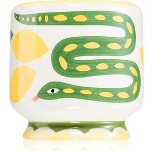 Paddywax A Dopo Snake illatgyertya 226 g kép
