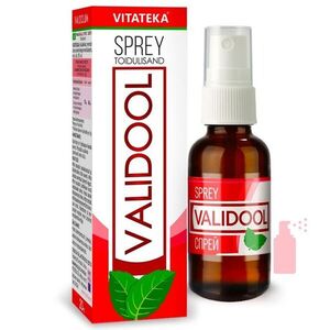 Validol spray – étrend-kiegészítő – 20 ml – Vitateka kép