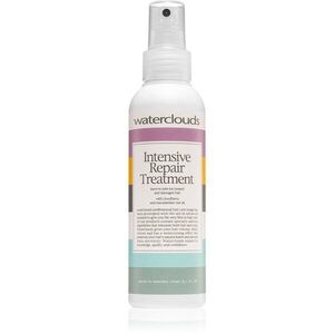 Waterclouds Intensive Repair Treatment tápláló és hidratáló spray hajra 150 ml kép