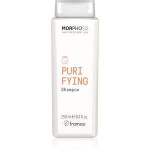 Framesi Morphosis Purifying tisztító sampon korpásodás ellen 250 ml kép