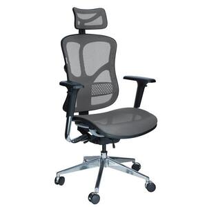 Ergonomikus irodai forgószék Business, szürke kép