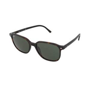 Ray-Ban Ray-Ban Leonard RB2193 902/31 kép