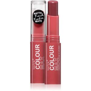 Technic Cosmetics Colour Max mattító rúzs árnyalat Kiss Catch 3.5 g kép