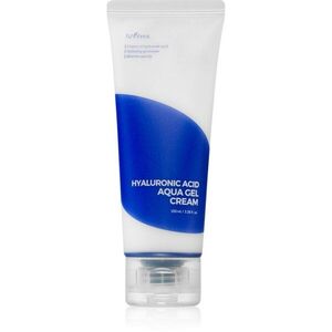Isntree Hyaluronic Acid hidratáló géles krém a bőrréteg megújítására 100 ml kép