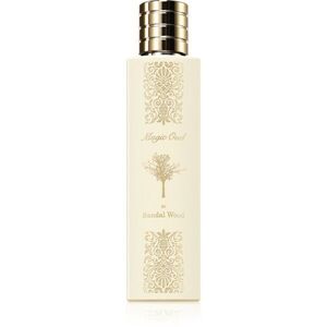 Magic Oud In Sandal Wood Eau de Parfum unisex 100 ml kép