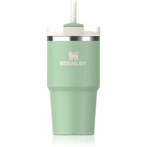 Stanley Quencher H2.O FlowState™ Tumbler rozsdamentes termosz szívószállal kicsi Pistachio 1 db kép