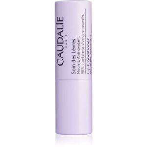 Caudalie Vinotherapist Lip Conditioner hidratáló ajakbalzsam 4.5 g kép