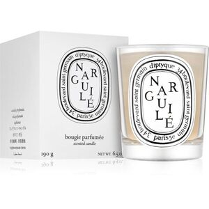 Diptyque Narguile illatgyertya 190 g kép