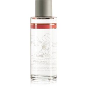 Mühle After Shave Lotion Grapefruit & Mint borotválkozás utáni arcvíz uraknak 125 ml kép